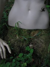 Klicken f�r Bild in voller Gr��e