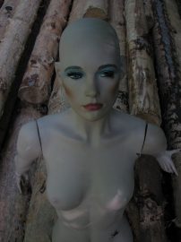 Klicken f�r Bild in voller Gr��e