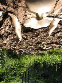 Klicken f�r Bild in voller Gr��e