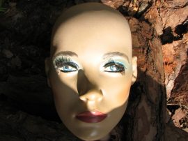 Klicken f�r Bild in voller Gr��e