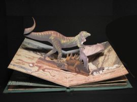 Klicken f�r Bild in voller Gr��e