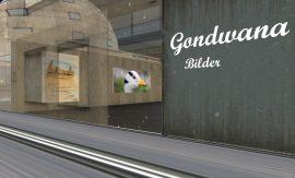 Klicken f�r Bild in voller Gr��e