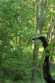 Klicken f�r Bild in voller Gr��e