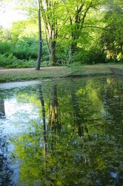 Klicken f�r Bild in voller Gr��e