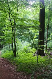 Klicken f�r Bild in voller Gr��e