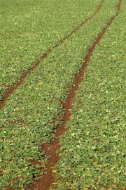 Klicken f�r Bild in voller Gr��e