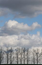 Klicken f�r Bild in voller Gr��e