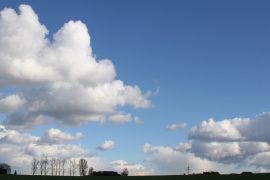 Klicken f�r Bild in voller Gr��e