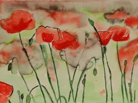 Klicken f�r Bild in voller Gr��e