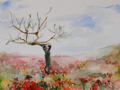 Klicken f�r Bild in voller Gr��e