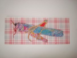 Klicken f�r Bild in voller Gr��e