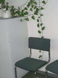 Klicken f�r Bild in voller Gr��e