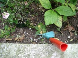 Klicken f�r Bild in voller Gr��e