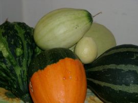 Klicken f�r Bild in voller Gr��e