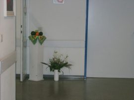 Klicken f�r Bild in voller Gr��e