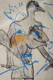 Klicken f�r Bild in voller Gr��e