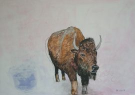 Klicken f�r Bild in voller Gr��e