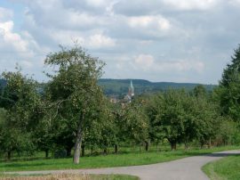 Klicken f�r Bild in voller Gr��e