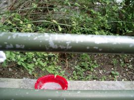 Klicken f�r Bild in voller Gr��e