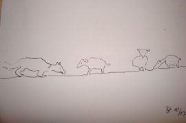 Klicken f�r Bild in voller Gr��e