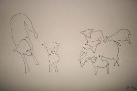 Klicken f�r Bild in voller Gr��e