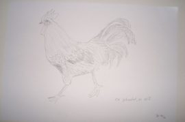 Klicken f�r Bild in voller Gr��e