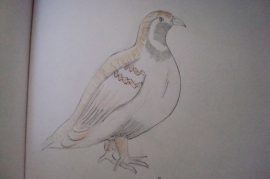 Klicken f�r Bild in voller Gr��e