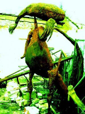 Klicken f�r Bild in voller Gr��e