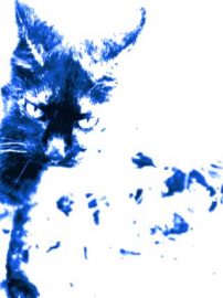 Klicken f�r Bild in voller Gr��e