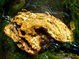 Klicken f�r Bild in voller Gr��e