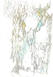 Klicken f�r Bild in voller Gr��e