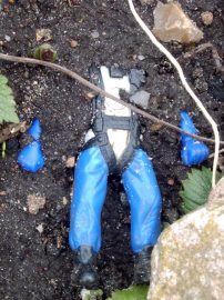 Klicken f�r Bild in voller Gr��e