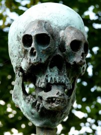 Klicken f�r Bild in voller Gr��e