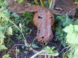 Klicken f�r Bild in voller Gr��e