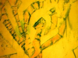 Klicken f�r Bild in voller Gr��e