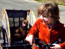 Klicken f�r Bild in voller Gr��e