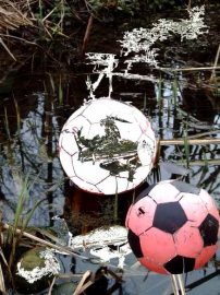 Klicken f�r Bild in voller Gr��e