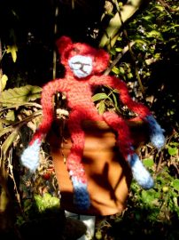 Klicken f�r Bild in voller Gr��e