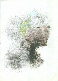 Klicken f�r Bild in voller Gr��e