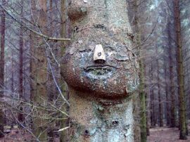 Klicken f�r Bild in voller Gr��e