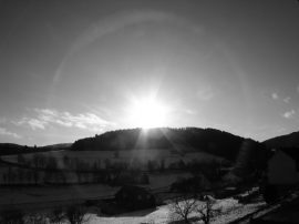 Klicken f�r Bild in voller Gr��e