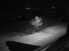 Klicken f�r Bild in voller Gr��e