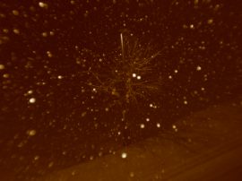 Klicken f�r Bild in voller Gr��e