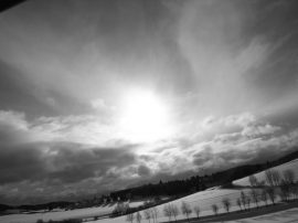 Klicken f�r Bild in voller Gr��e