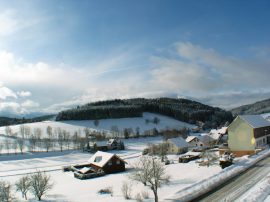 Klicken f�r Bild in voller Gr��e