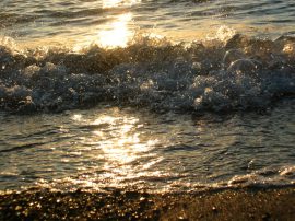 Klicken f�r Bild in voller Gr��e