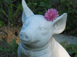 Klicken f�r Bild in voller Gr��e