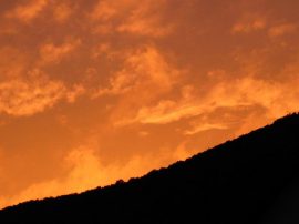 Klicken f�r Bild in voller Gr��e