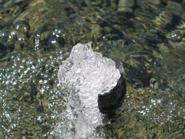 Klicken f�r Bild in voller Gr��e