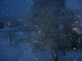 Klicken f�r Bild in voller Gr��e